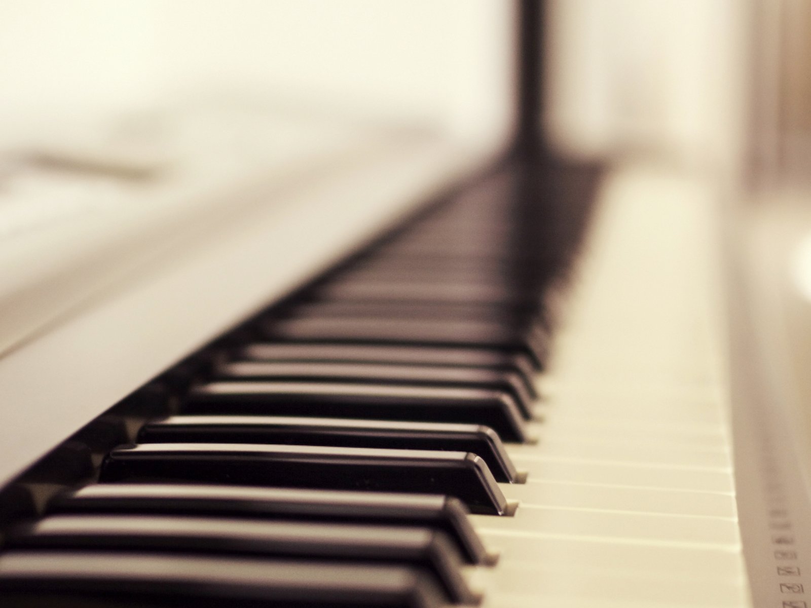 Child and teacher playing piano together